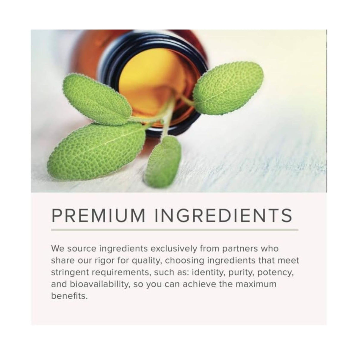 NusaPure Mullein Leaf Extract 500mg – 150 Capsules