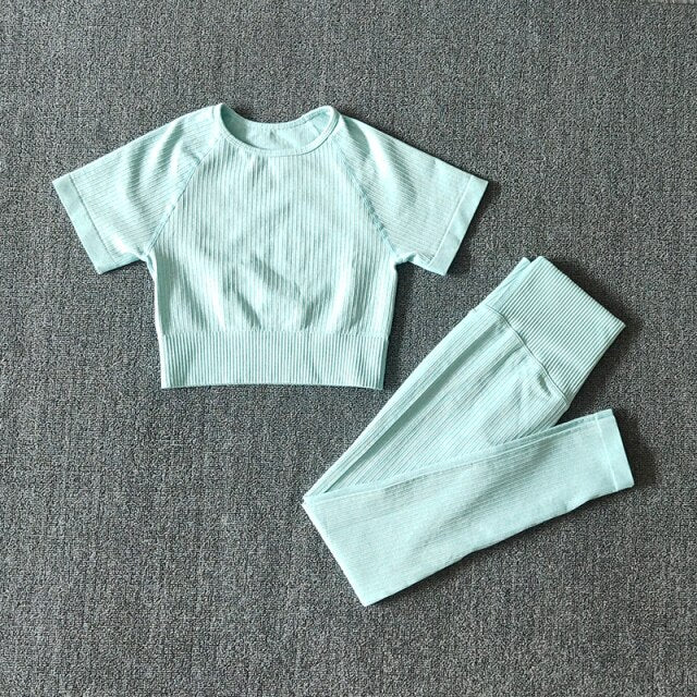 Seamless Yoga Suit Set