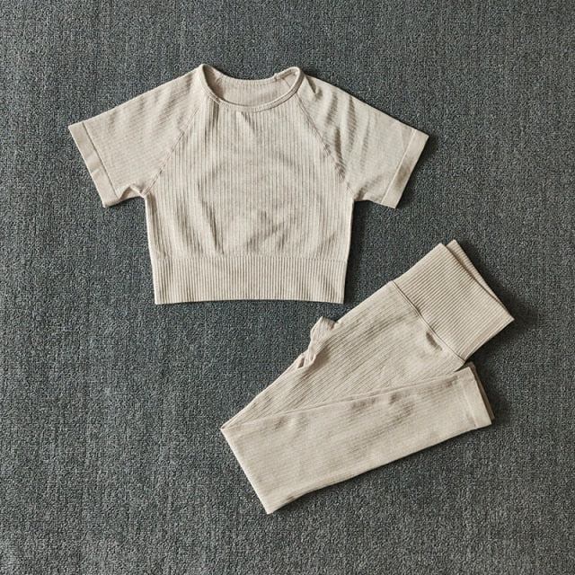 Seamless Yoga Suit Set